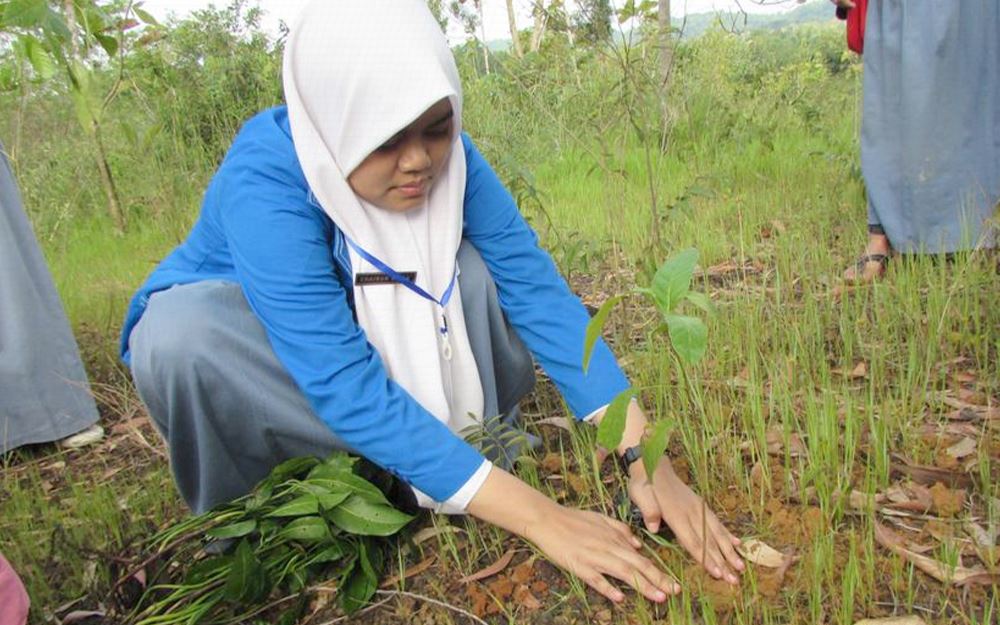 أندونيسيا: “المشايخ الخضر” يواجهون “الاحتباس الحراري”
