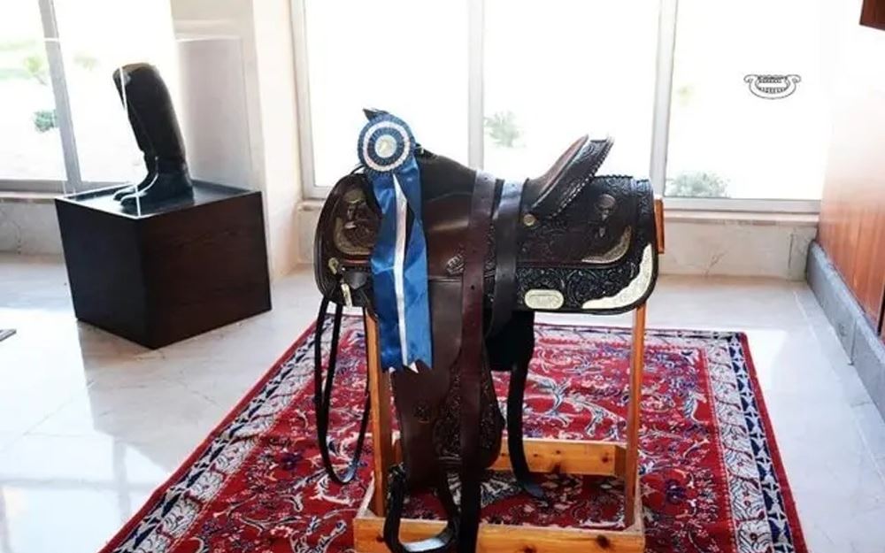 روث حصان في متحف باسل الأسد