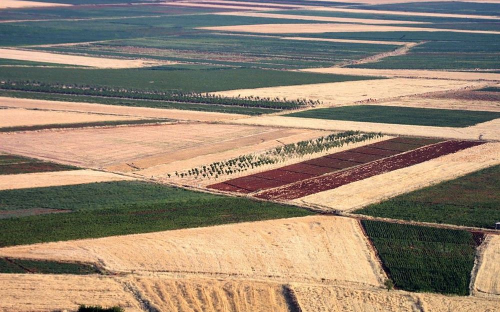 كورونا يغيّر اقتصاد لبنان: نهوض الزراعة والصناعة إلزامي