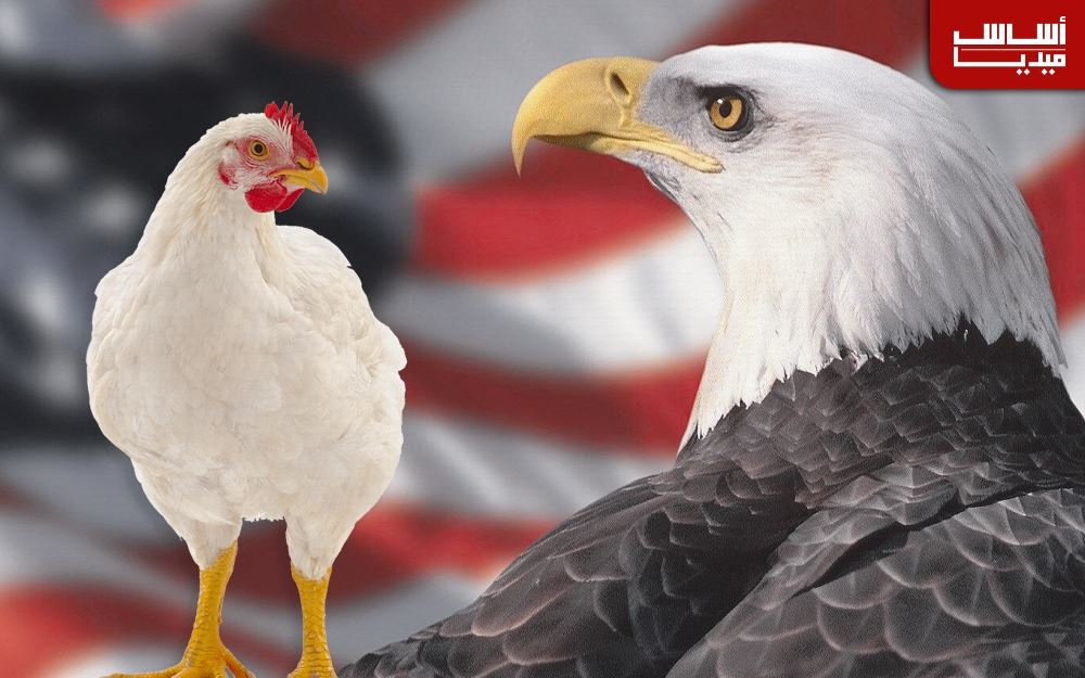 شعار أميركا: نسر أو دجاجة؟